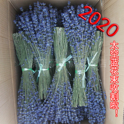新疆2020年太空蓝薰衣草干花束插花家居装饰情人节礼物花束一斤