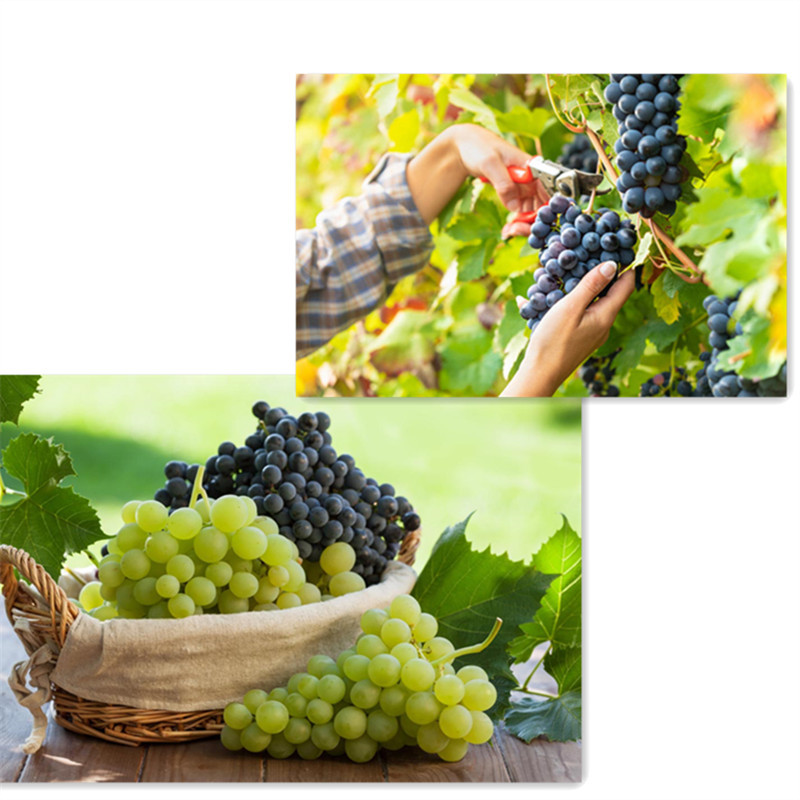 4d26892a42e708f91af6d742ae1d2e