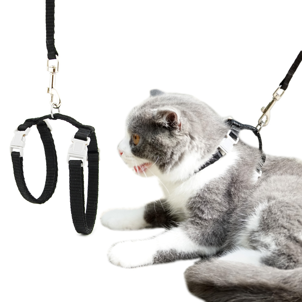 cat harness leash solid model