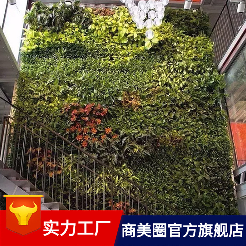 ����ֱ��������ף��ǽ���ղ���԰�����;�����������ǽ