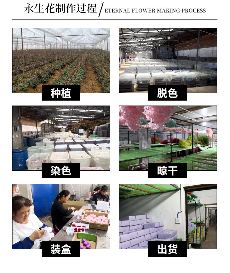永生花制作过程