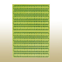 透明不干胶比例尺  照相比例尺  物证比例尺  物证标尺 刻度尺