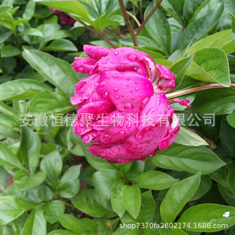 QQ图片20200222122305