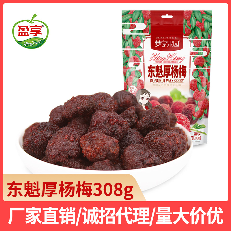 【盈享】/东魁杨梅干308g/袋果脯蜜饯凉果零食厂家批发广式风味
