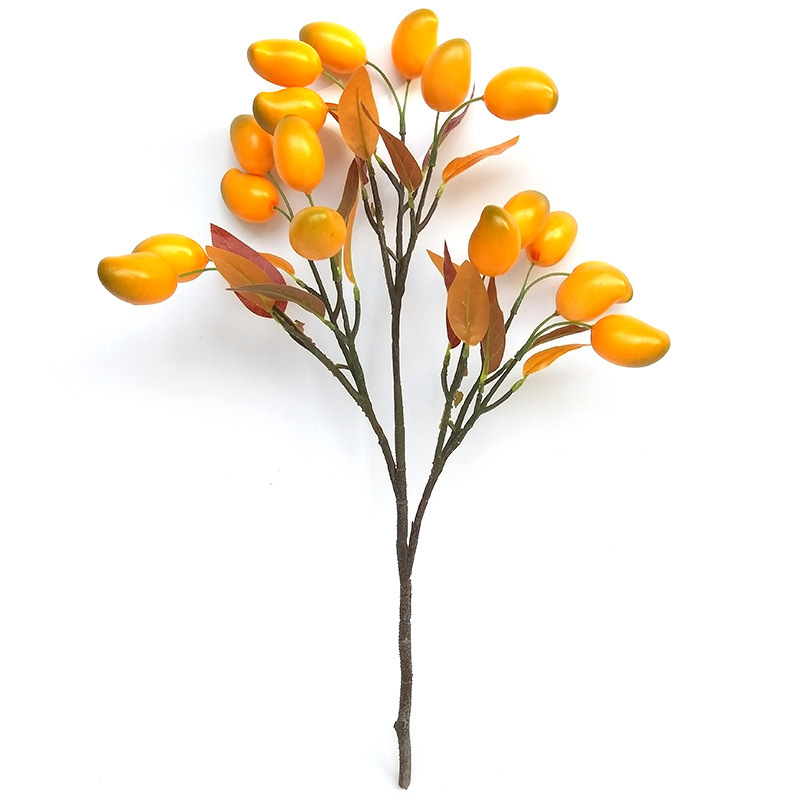 XRG-034 小芒果0.5米  (1).jpg