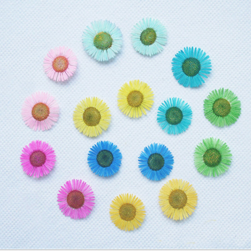 针菊 压花干花造纸DIY滴胶手机壳押花手工美甲书签植物标本材料|ms