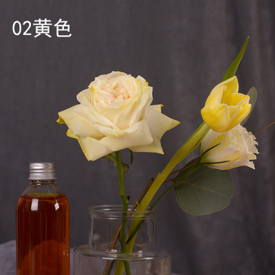 Color de la flor que absorbe el colorante solución de la cultura del ramo del tinte agente colorante floral Flower shop material 250ml ventas directas de la fábrica