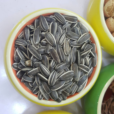 松鼠粮食 鹦鹉饲料黑瓜子 大瓜子葵花籽 500g土拨鼠饲料 颗粒饱满|ms