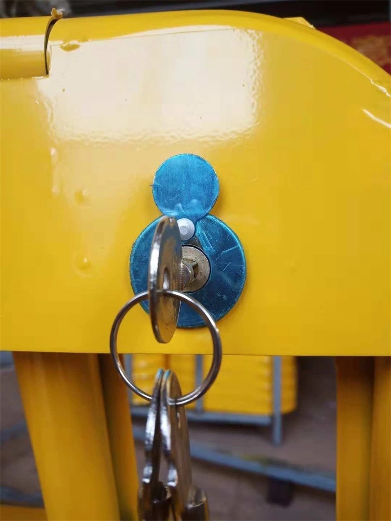 9832035765_1105546844.jpg_.web