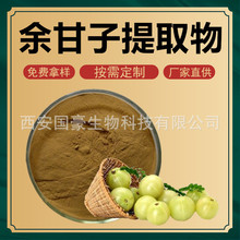 余甘子提取物30:1 喉甘子提取物 余甘子粉 牛甘果浸膏粉 500克