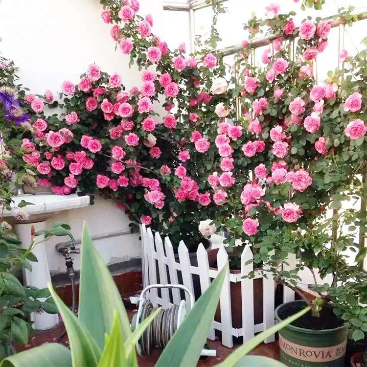 微信图片_20200707171148