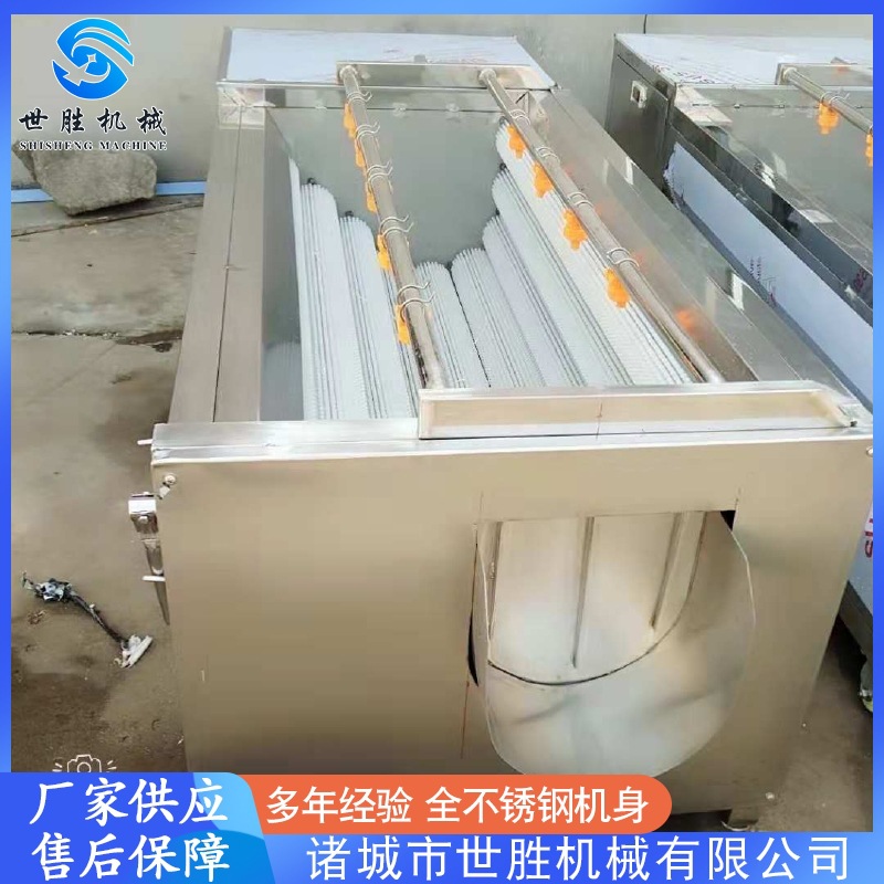 供应全自动毛刷清洗机 芋头去皮机设备 不锈钢扇贝毛刷清洗机