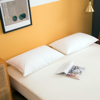 亚马逊专供跨境货源家纺美国站欧洲站尺码枕芯羽丝绒透气包边全棉