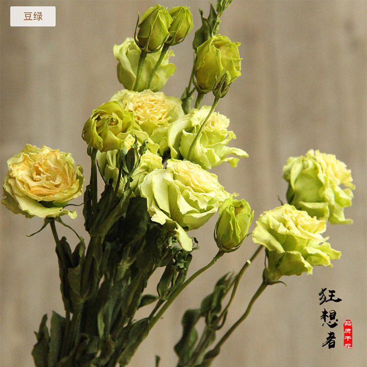 Chimera Eustoma grandiflorum Multicolor Yunnan Sen family natural Dried flowers Bouquet of flowers Florist flower arrangement Home Furnishing decorate