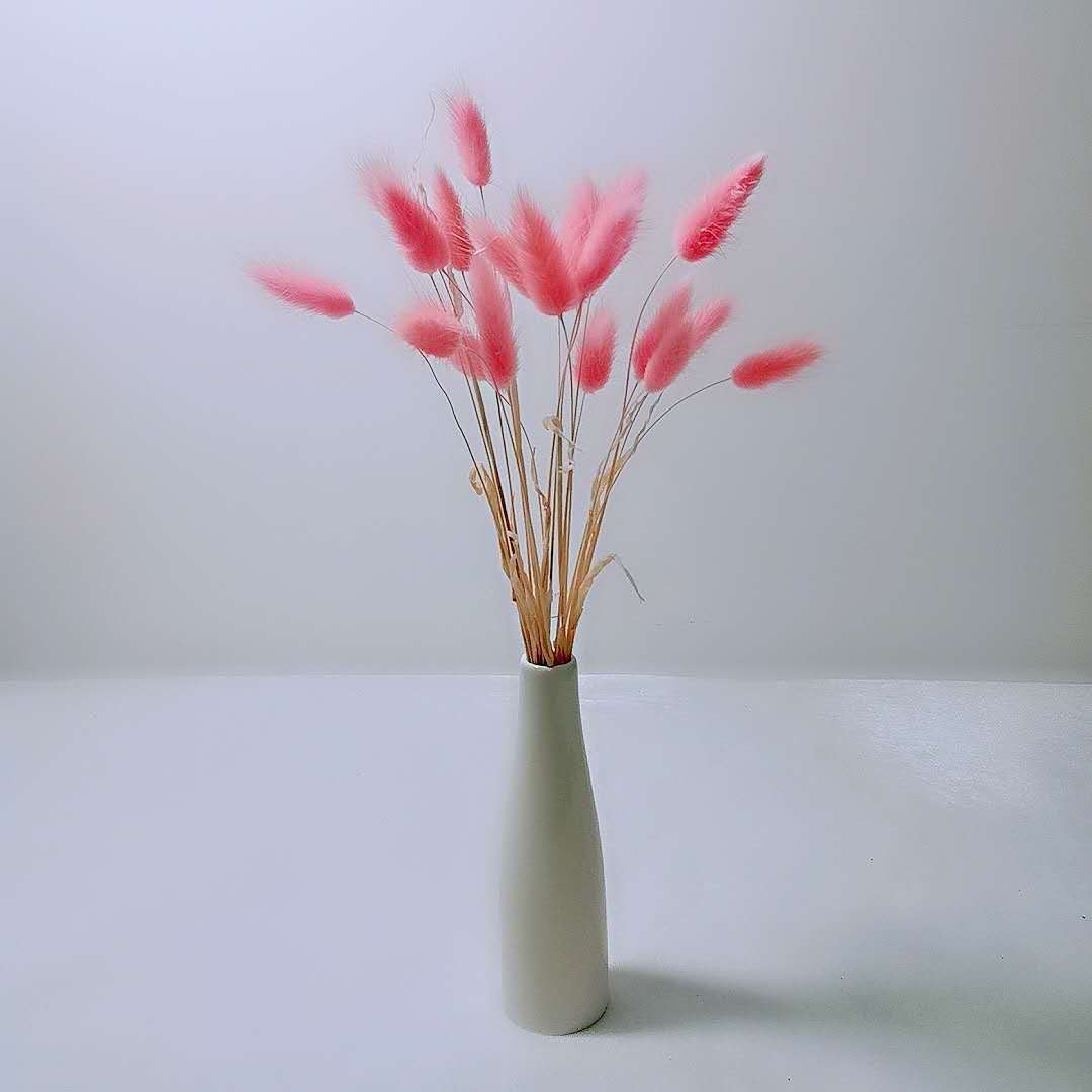 微信图片_20201005151849