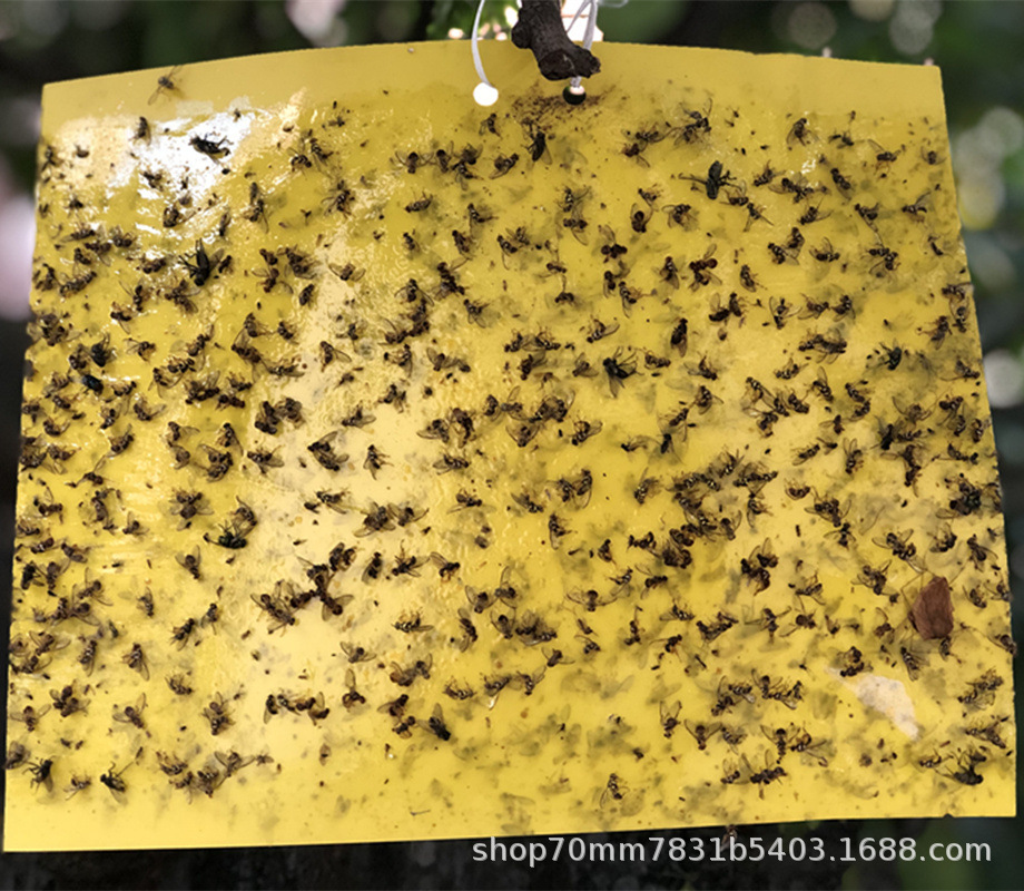 db6f5a58ecdf5d97150caf3fbbd578