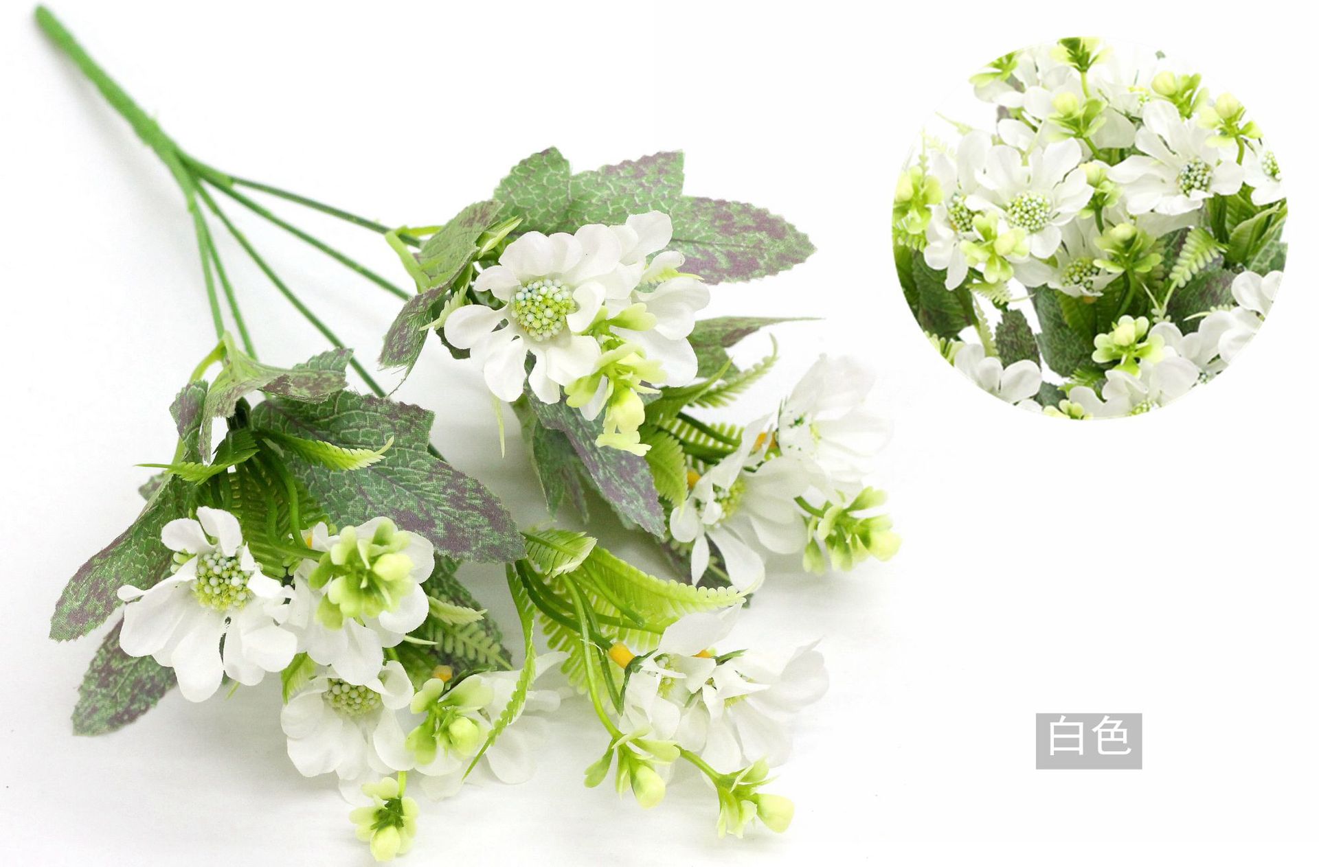 IMG_7642_副本_副本