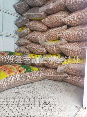 20新货新疆阿克苏幸福新疆薄皮核桃散装零食核桃批一袋70斤地摊|ms