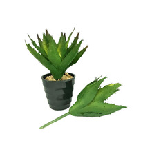 �������ֲ���J�C�ڒ�ֲ�diy���^�b�С�辰��@�b����廨