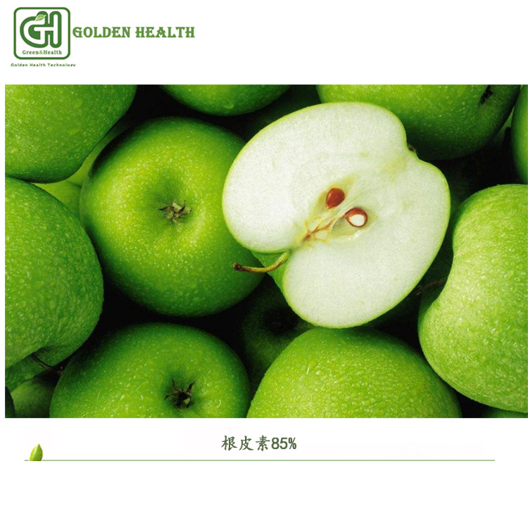 苹果提取物 天然增味剂 抗氧化香精 根皮素85%