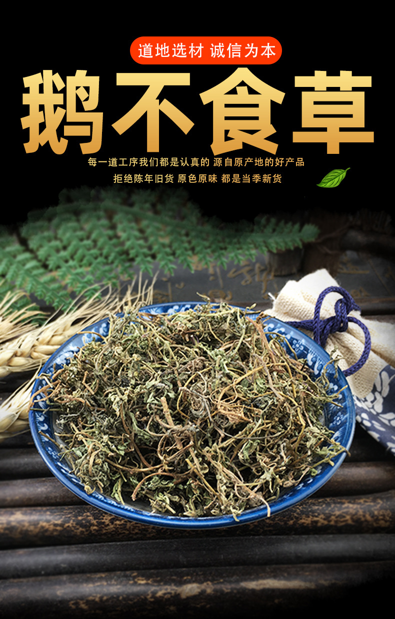 Dried Centipeda Herb E Bu Shi Cao Whole Dried Herb Traditional TCM Botanical Ingredient key features