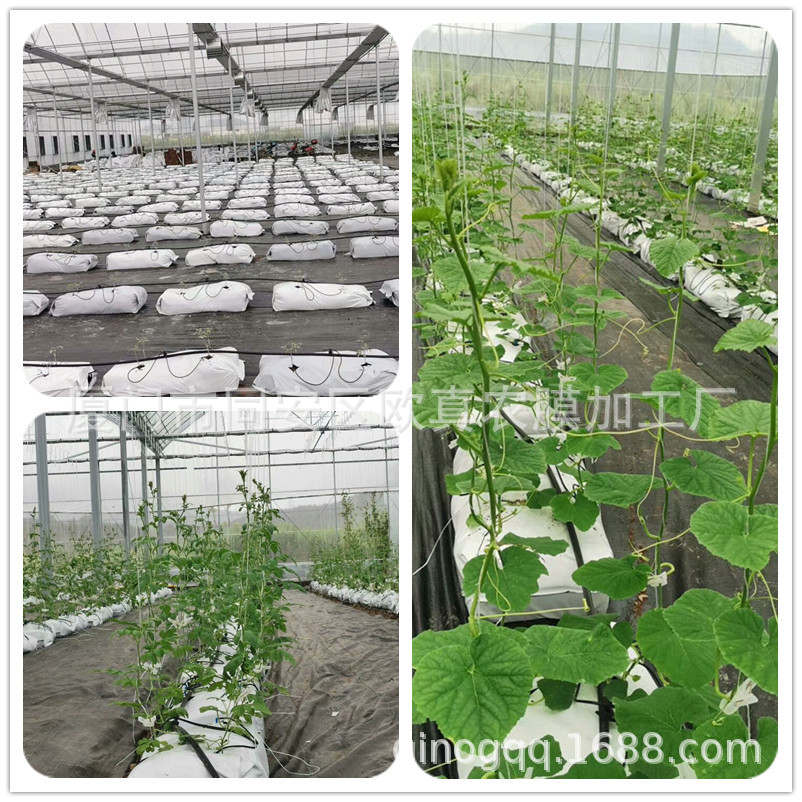 厂家销售黑白种植袋 瓜果蔬菜无土栽培袋  生长基质营养袋。