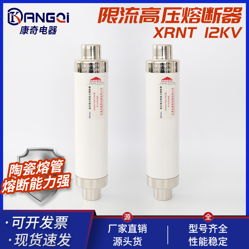 厂家供应 高压熔断器 XRNT 12KV高压限流插入式熔断器限流熔断器