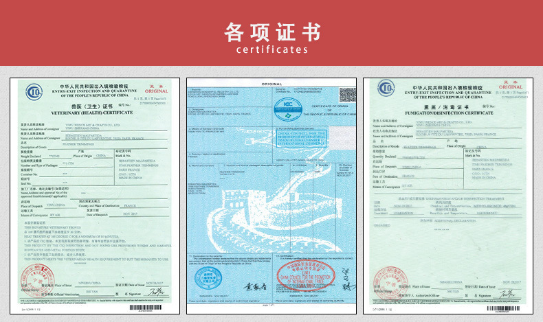 11467186042_848511351