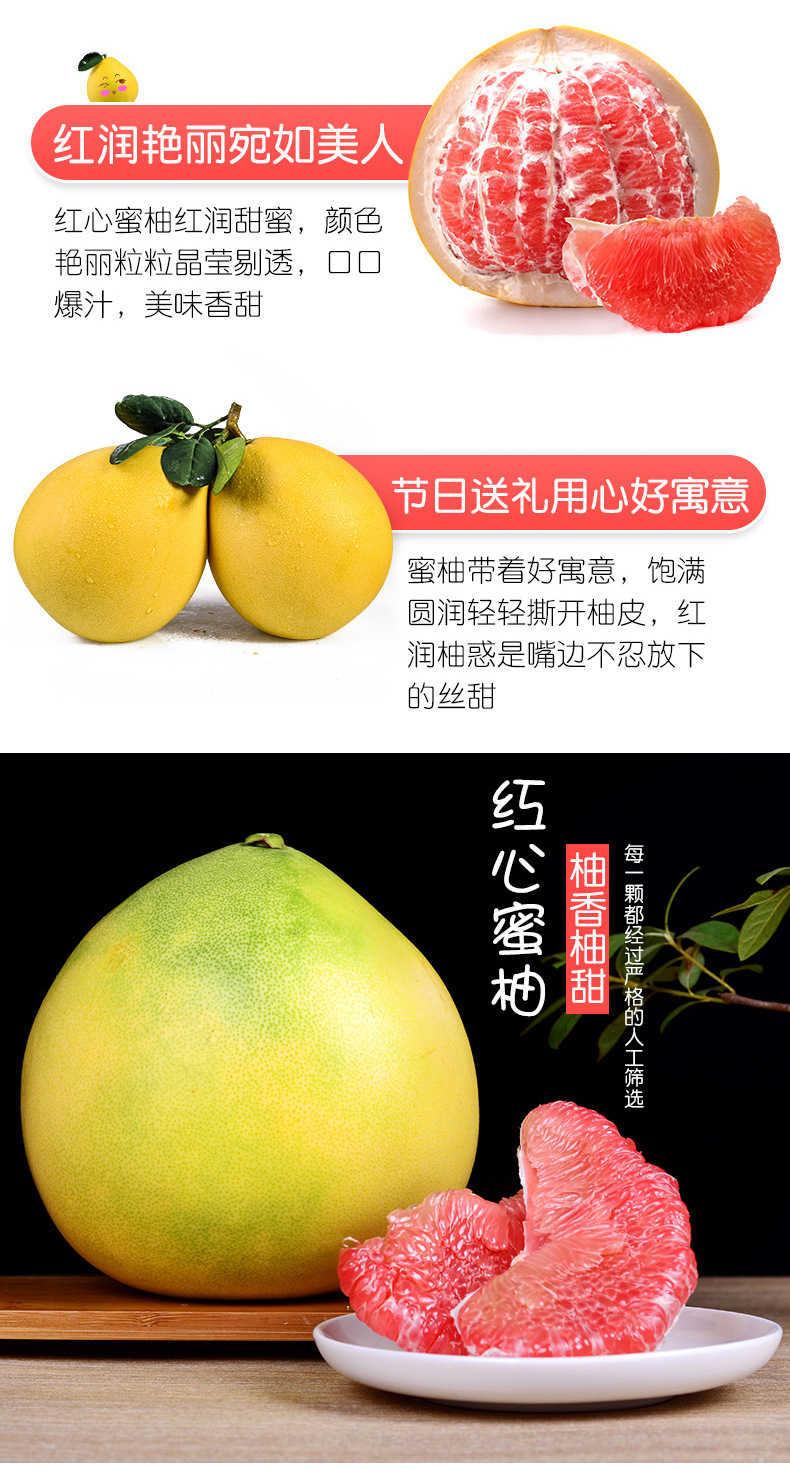 红心蜜柚_03.jpg