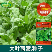 N rˈ@~ʺwSﻢ˷N ߲˷N