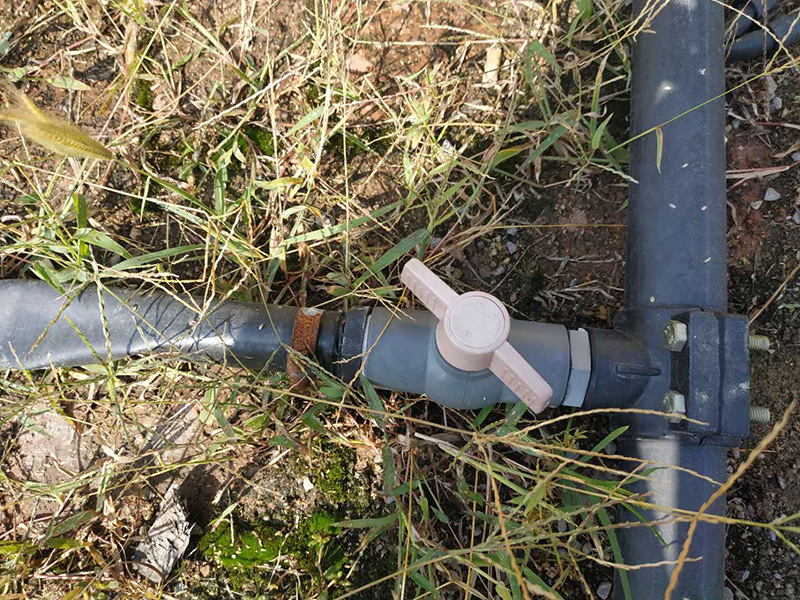 0d703e6b669d1a7b19450d35ba0e53