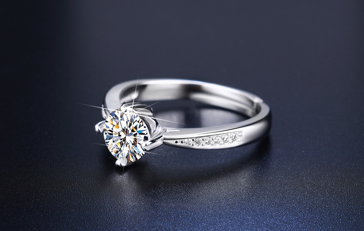 DSC_2431 拷贝_副本