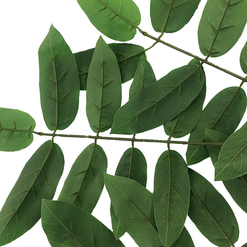 XRB-142 核桃枝三叉平面枝4