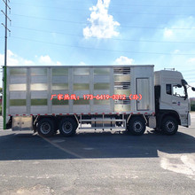 青島大型養豬場豬苗運輸車 可拉1000頭豬苗 恆溫制冷噴淋喂養系統