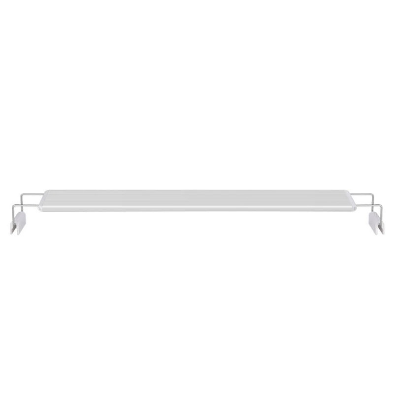 Underwater aquarium, LED shelf lighting, aquatic plants, lights