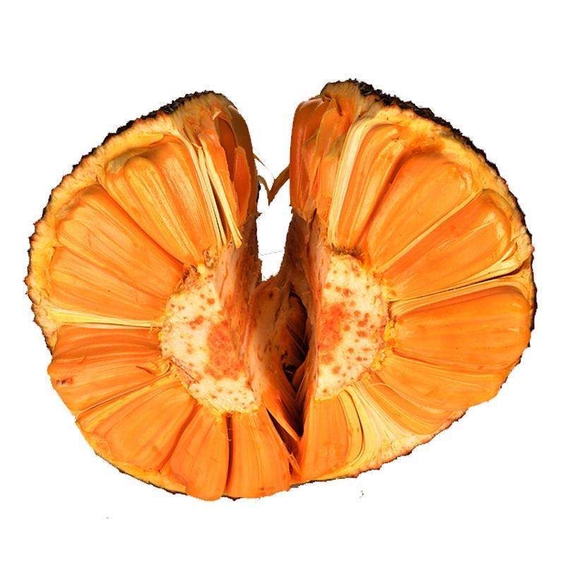 【现货】越南进口红肉菠萝蜜黄肉红心菠萝蜜 新鲜水果榴莲 非海南