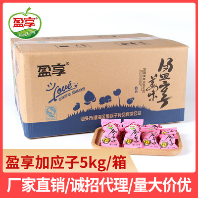 盈享 散装独立包嘉应子 散称小包装蜜饯凉果 厂家直批 5kg/箱