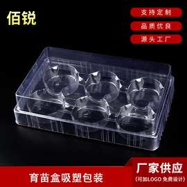 PVC透明包装盒 育苗盒吸塑包装 多肉植物育苗盘托盘塑料盒高透PVC