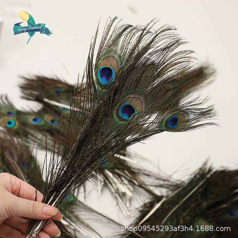 孔雀毛羽毛主图7.png