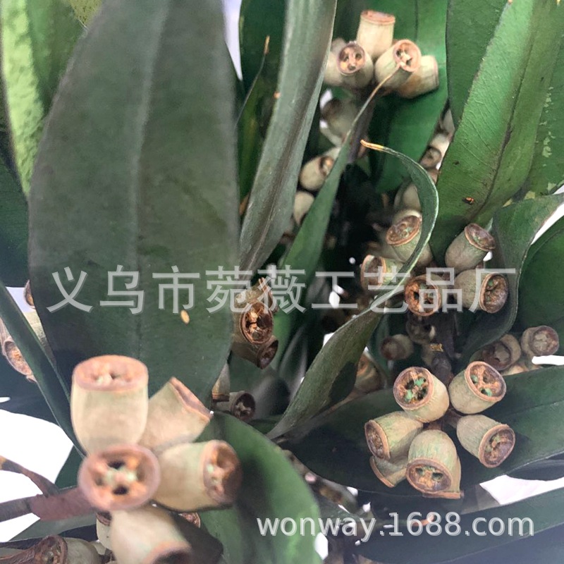 微信图片_20200427131521