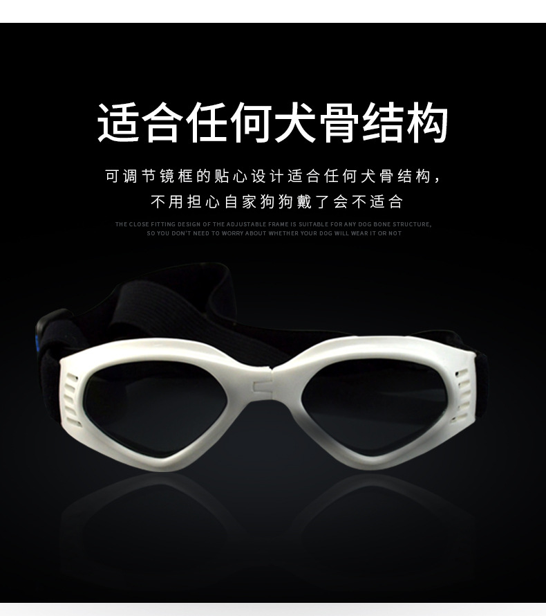 宠物眼镜
