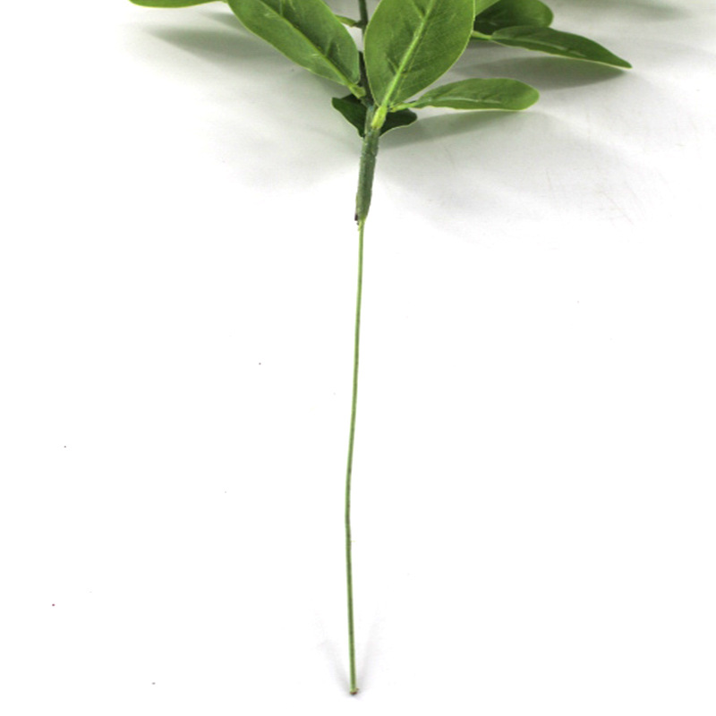 XRB-231 桔子皮小5枝2.jpg