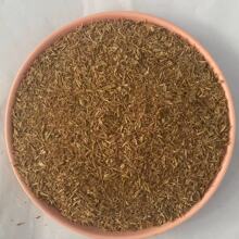 厂家供应啤酒糟 啤酒糟 晒干减少营养流失啤酒糟粉  量大从优