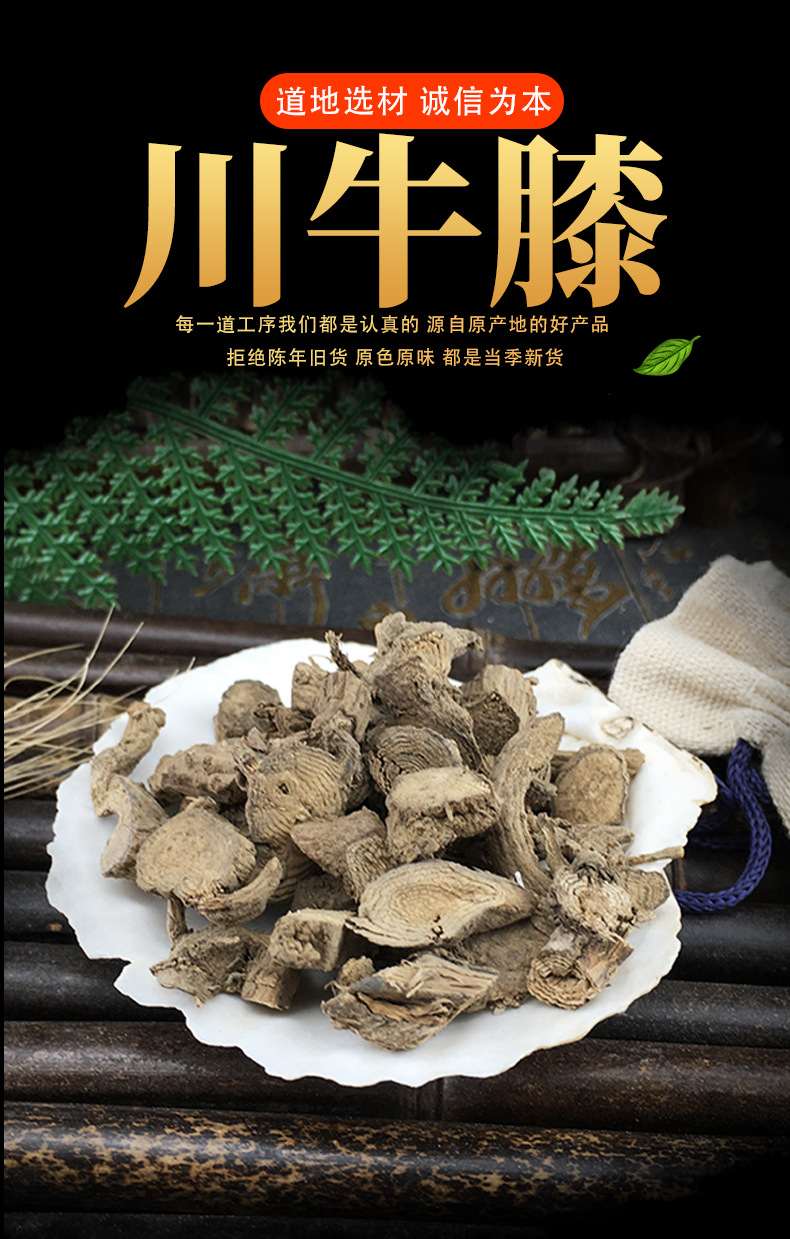 Chuan Niu Xi Sichuan Cyathula Root Dried TCM Herb 500g key features