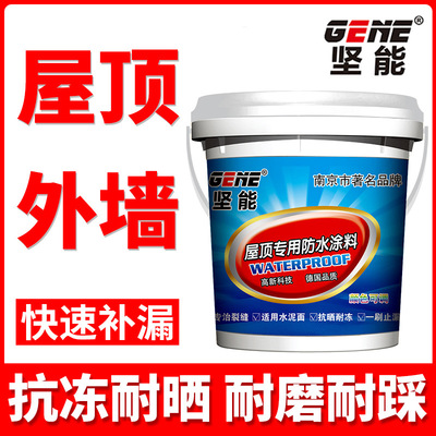 坚能屋顶专用防水涂料房顶裂缝专用防水补漏材料平房补漏水防漏胶