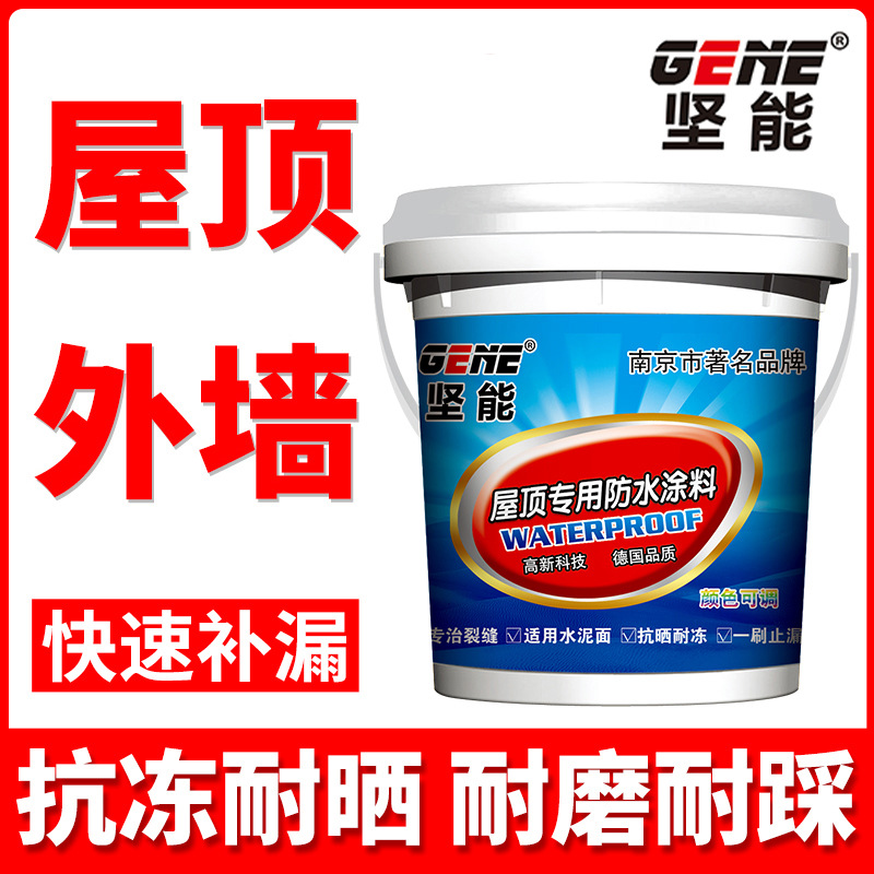 坚能屋顶专用防水涂料房顶裂缝专用防水补漏材料平房补漏水防漏胶