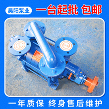 水環式真空泵 兩級臥式鑄鐵工業真空泵 定制2SK-1.5水環式真空泵