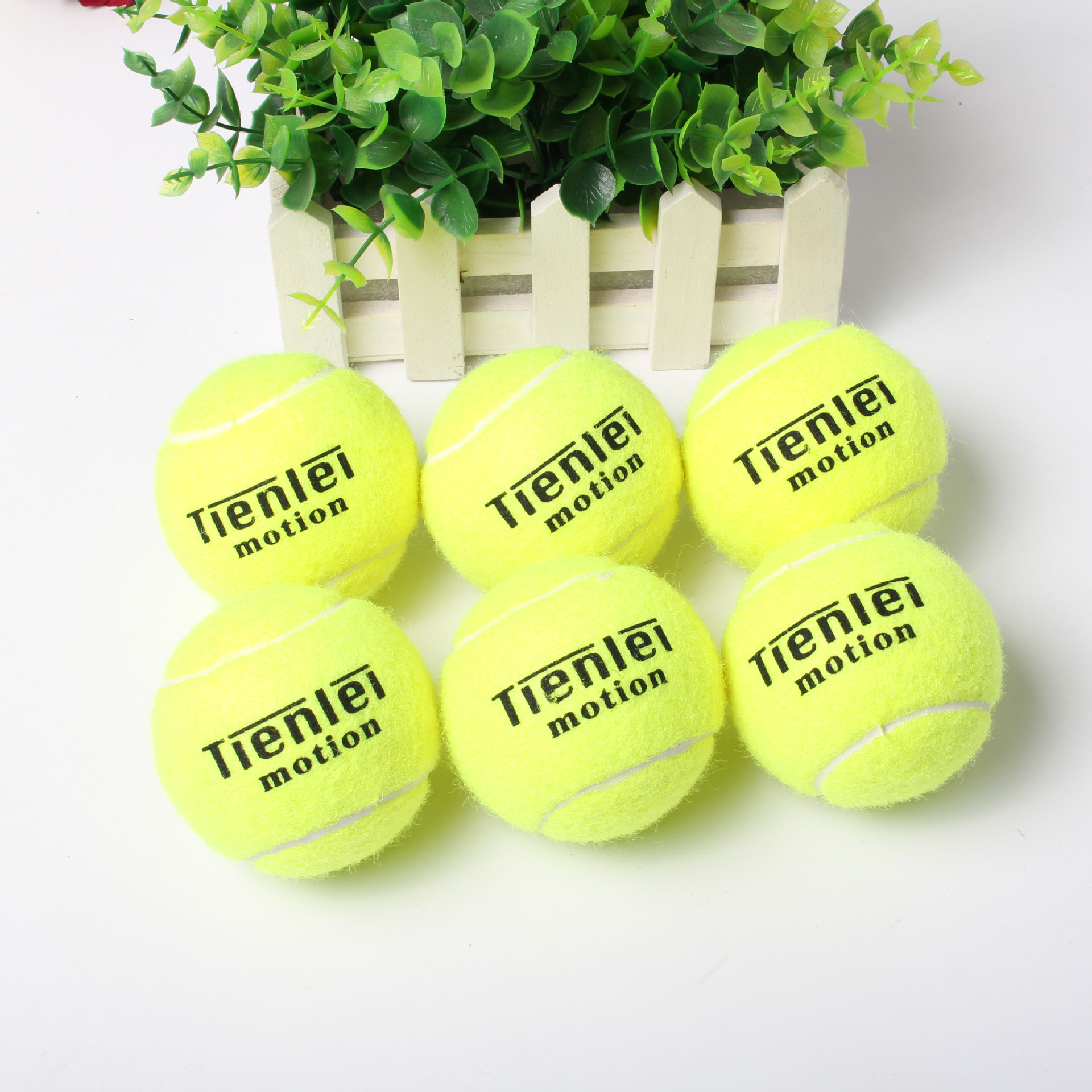 厂家直销批发天雷网球耐打专业高级训练网球比赛网球可做 logo