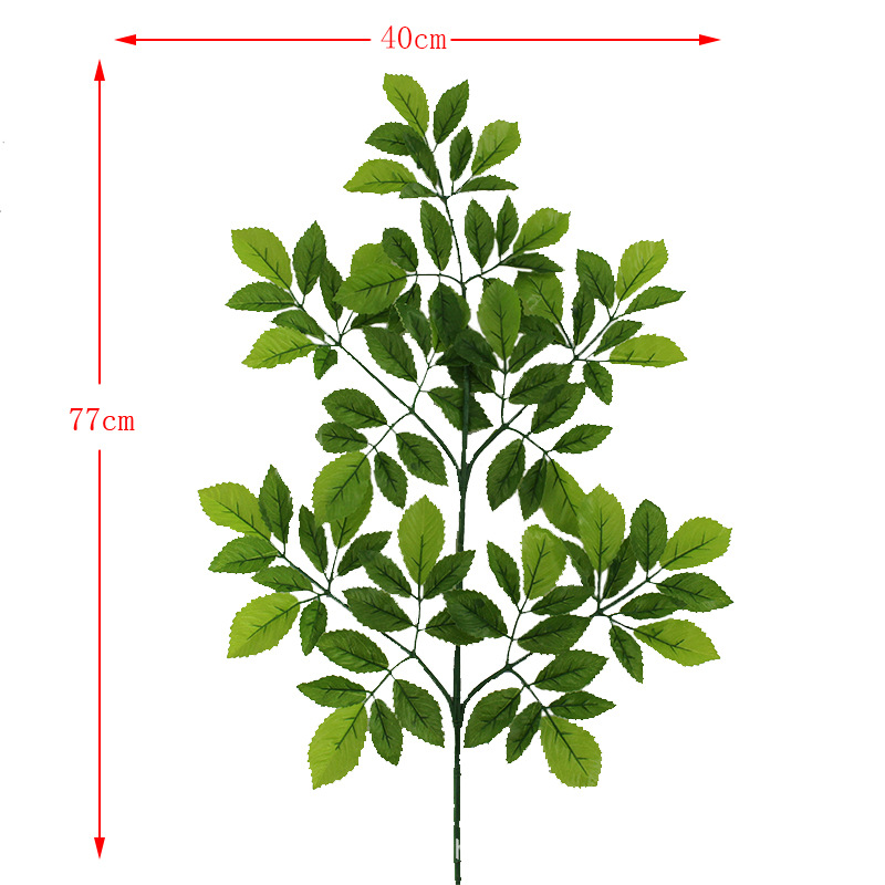 XRB-110 榆树叶五叉枝.jpg