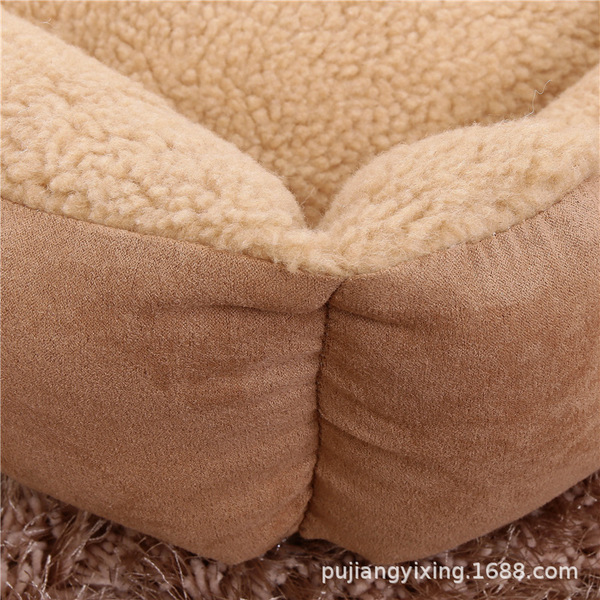 Explosion of dog nest Cat's nest Four Seasons General West Teddy…